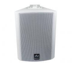 AI-Sonic OD-52W säänkestävä kotelokaiutin, pari