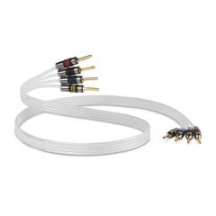 QED Silver Anniversary XT Bi-Wire kaiutinkaapeli, 1m QED Silver Anniversary XT Bi-Wire kaiutinkaapeli, 1m
